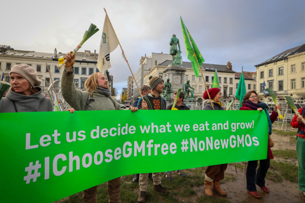 no gmo